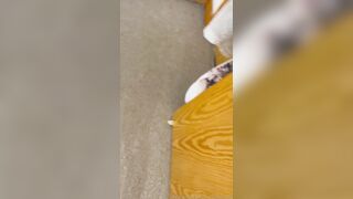 OnlyFans - Josey Daniels - Hot Teen POV Sex In Her Apartment