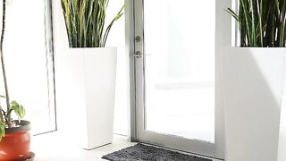 Black Dick Tryouts 13 (2022)