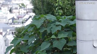 Aozora Hikari S*T*A*R*T 034